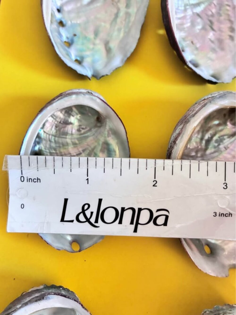 9Pcs 2.5-3Inch Colorful Natural Abalone Shell - Picture 3 of 6